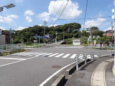�P�w�摜