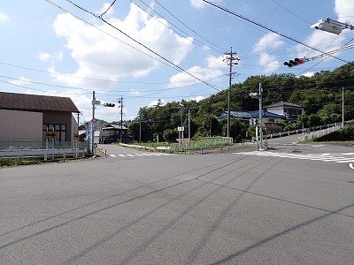 �P�w�摜