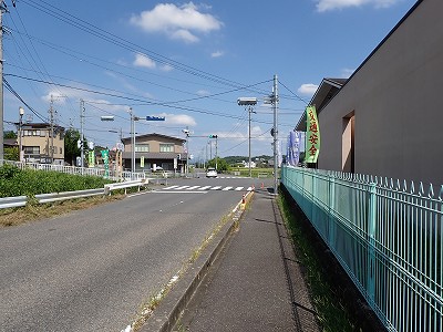�P�w�摜