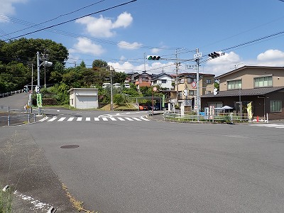 �P�w�摜