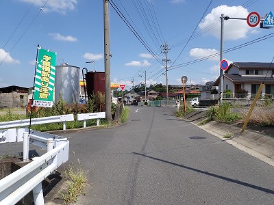 �P�w�摜