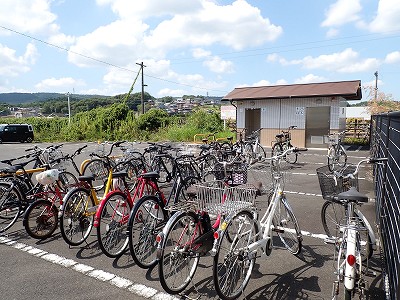 �P�w�摜