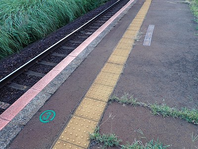 ���Z�썇�w�摜