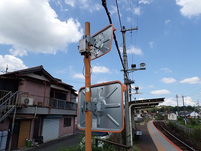 ���{�w�摜