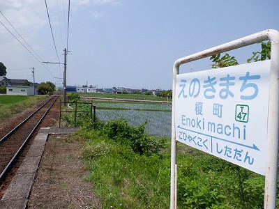 |w摜