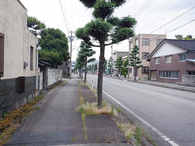 ܕSΉw摜