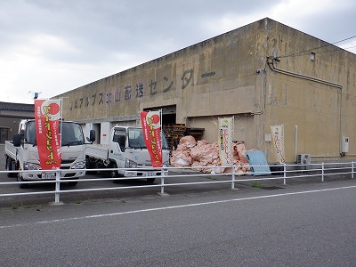 ܕSΉw摜