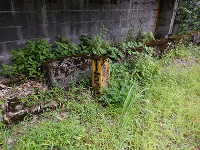 {{w摜