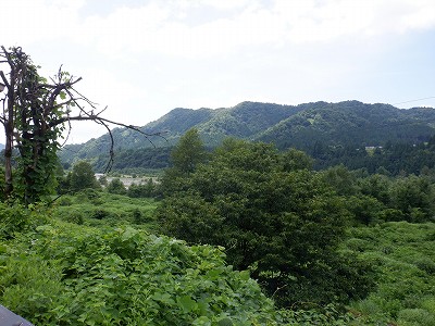 {{w摜