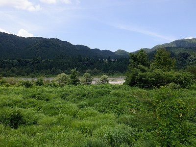 {{w摜