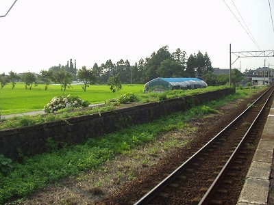 w摜