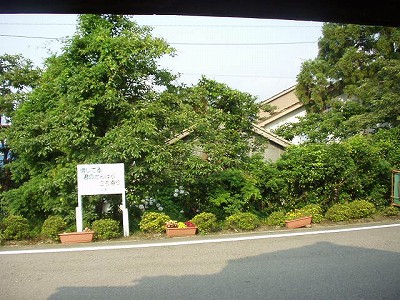 w摜