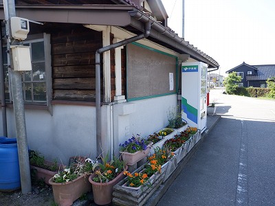 w摜