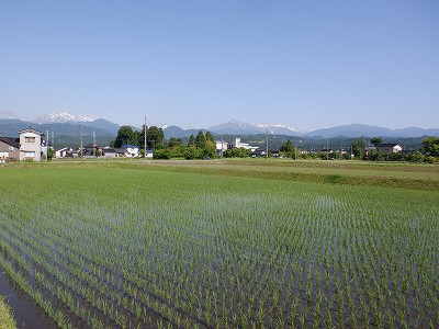 w摜
