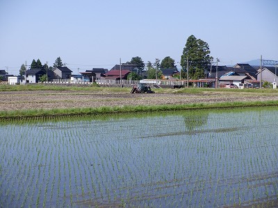 w摜