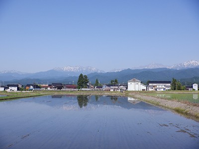 w摜