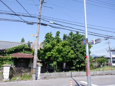 w摜