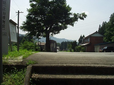 _w摜