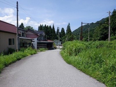 _w摜