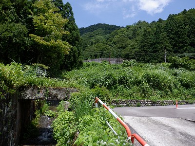 _w摜