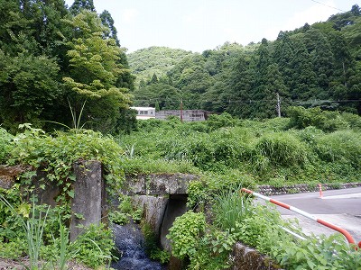 _w摜