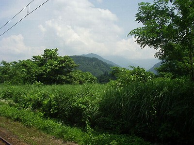 _w摜