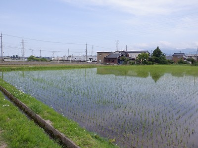 �t�q�ˉw�摜