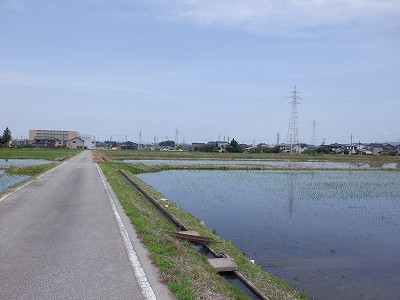 �t�q�ˉw�摜