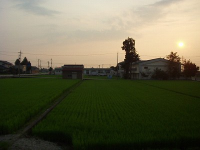 �t�q�ˉw�摜