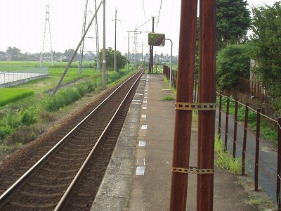 �t�q�ˉw�摜