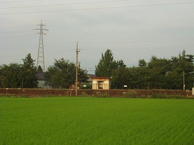 �t�q�ˉw�摜