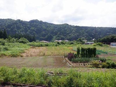 ]w摜