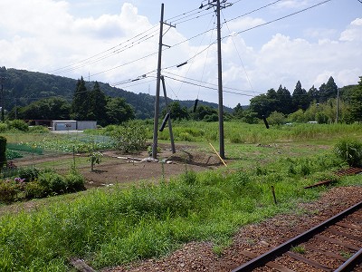 ]w摜