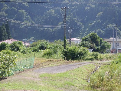 ]w摜