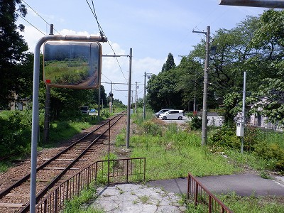 ]w摜
