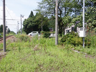 ]w摜