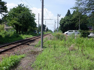]w摜