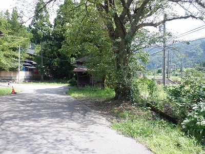 ]w摜