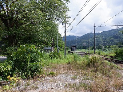 ]w摜