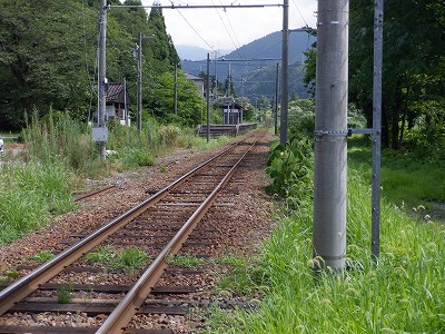 ]w摜