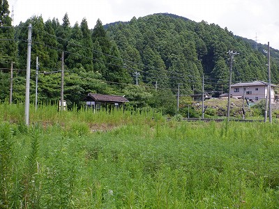 ]w摜