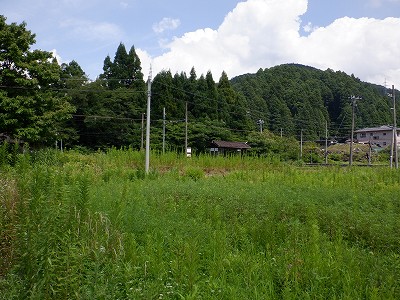 ]w摜