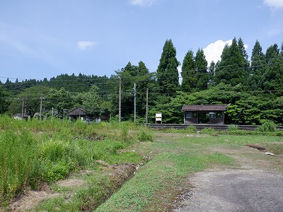 ]w摜