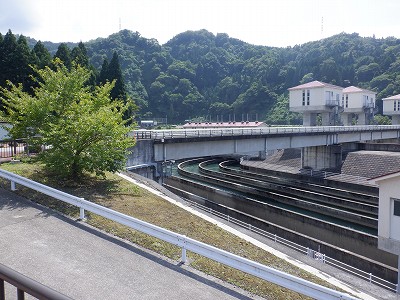 ]w摜