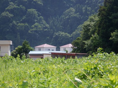 ]w摜