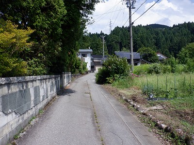 ]w摜