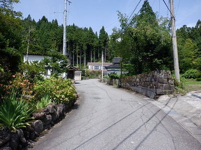 ]w摜