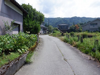 ]w摜