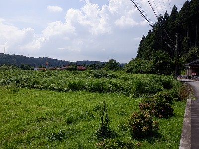 ]w摜