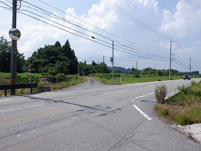 ]w摜